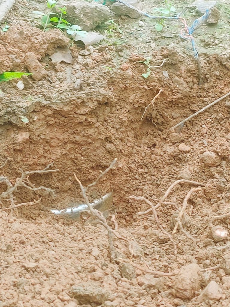 Chaibasa Naxal: सारंडा के जराइकेला जंगल से आइइडी बरामद, 2 दिन पहले विस्फोट में दो जवान हुए थे जख्मी