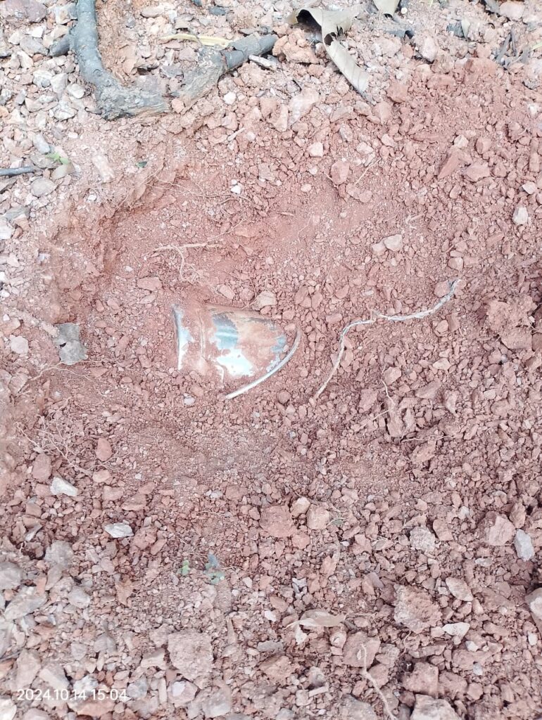 Chaibasa Naxal: टोंटो जंगल से पांच-पांच किलो के दो केन बम बरामद, तुंबाहाका-चिड़ियाबेड़ा जंगल में अभियान के दौरान मिली सफलता