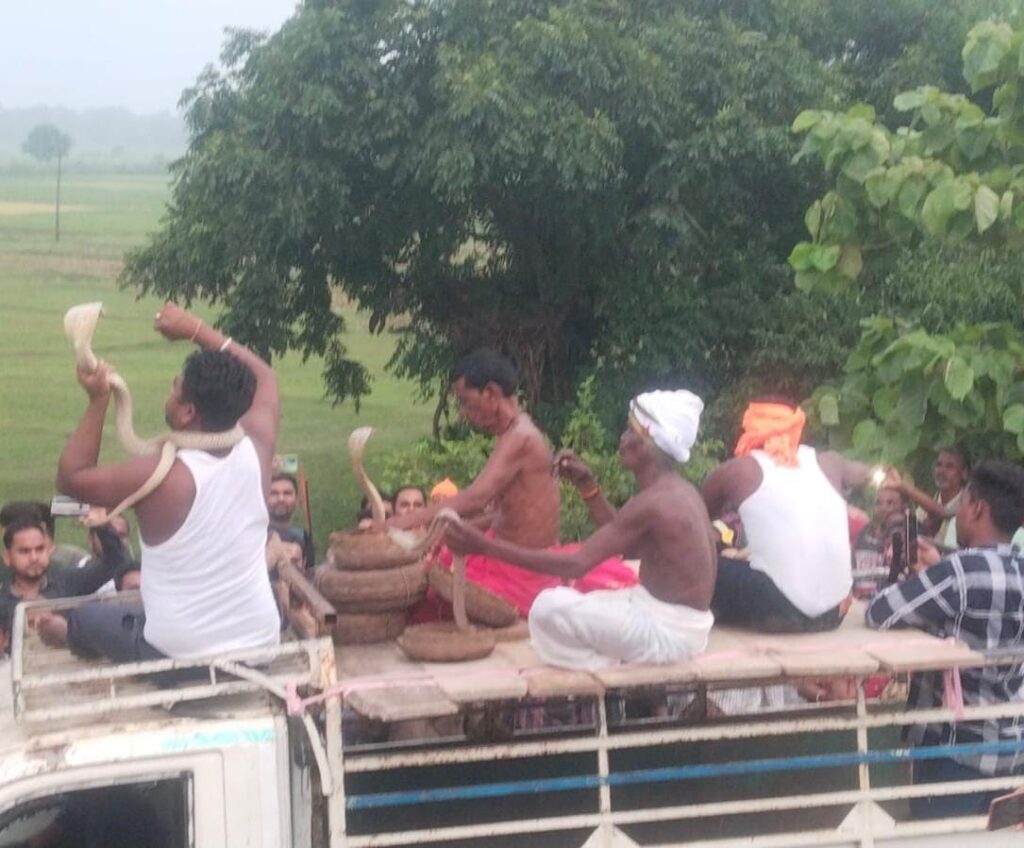 Worship of Maa Manasa: बरसोल के झाझिया गांव में धूमधाम से हुई मां मनसा की पूजा, गले में सांप लपेटकर दिखाये करतब