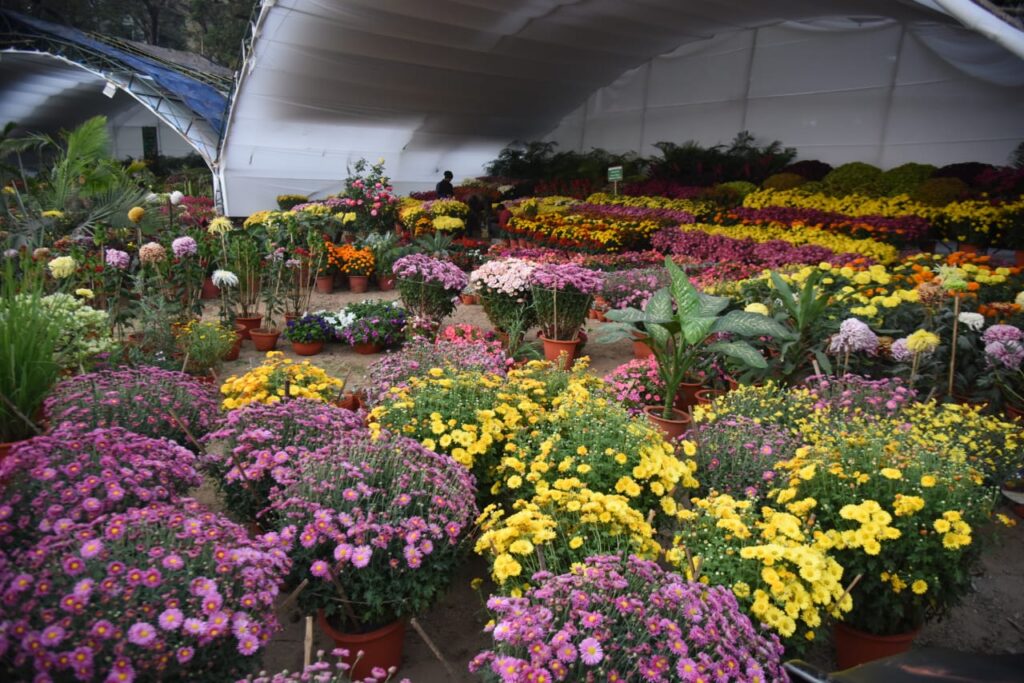 Jamshedpur Flower Show: गोपाल मैदान और तुलसी भवन बिष्टुपुर में चार दिवसीय फ्लावर शो कल से, एक जनवरी 2025 तक चलेगा,