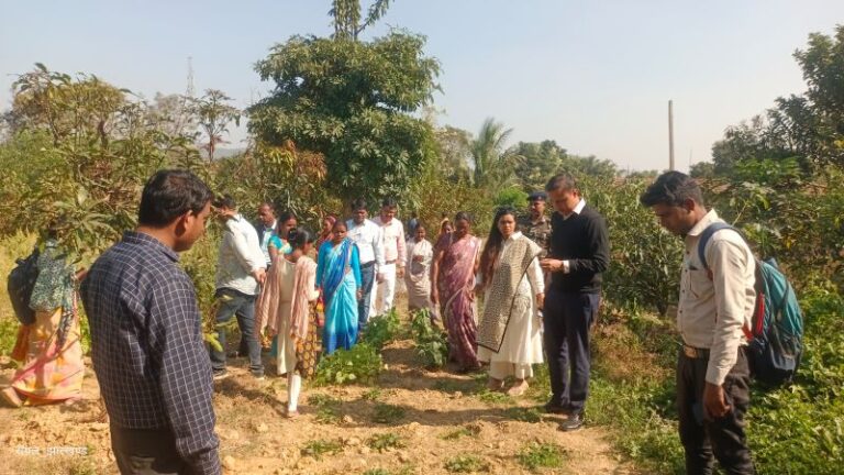 प्रखंडों में आंगनबाड़ी केन्द्र, पंचायत भवन पीडीएस दूकान, स्वास्थ्य उप केन्द्र, मनरेगा योजना तथा स्कूलों का निरीक्षण
