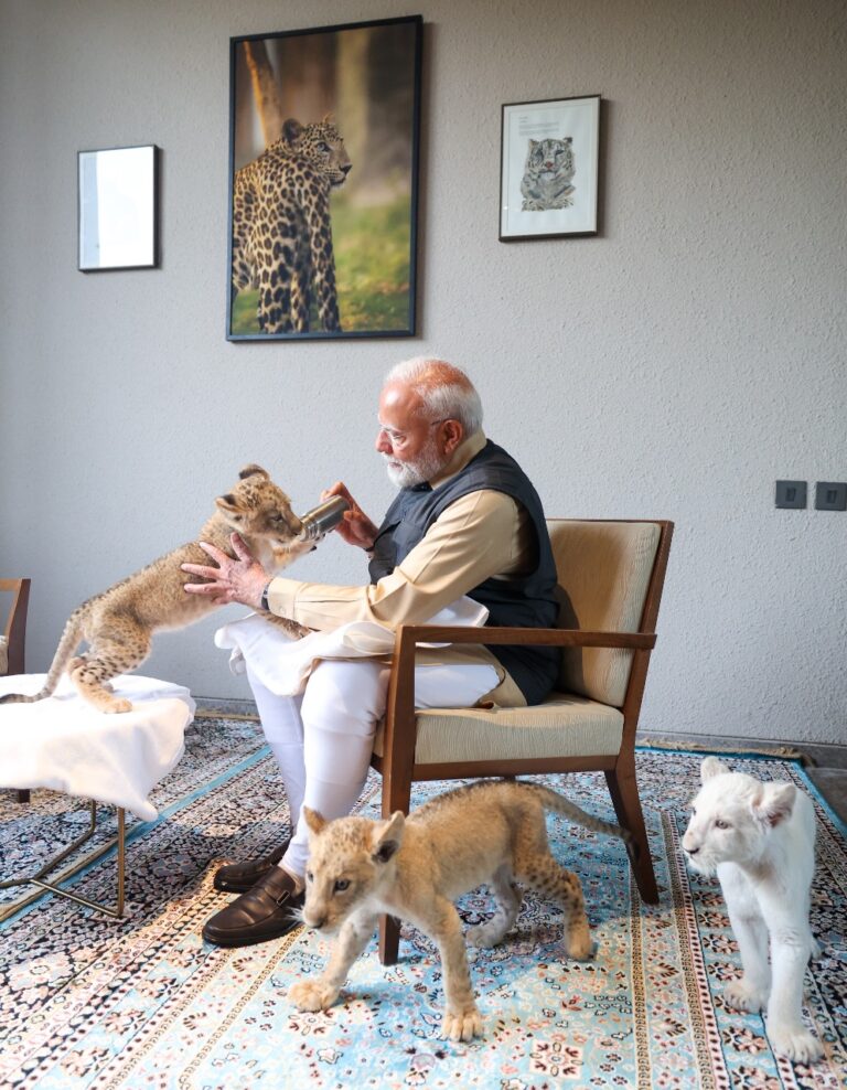 PM Modi: …जब वनतारा में शेरों के बीच पहुंचे पीएम मोदी, एशियाई शेर के शावकों को बोतल से पिलाया दूध