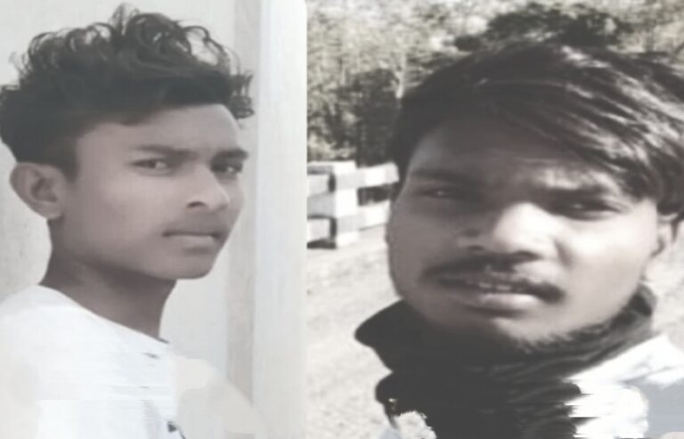 Saraikela Rajnagar Accident: हाता-चाईबासा मार्ग पर तेज रफ्तार ट्रक पेड़ से टकराया, राजनगर के चालक व खलासी की मौत