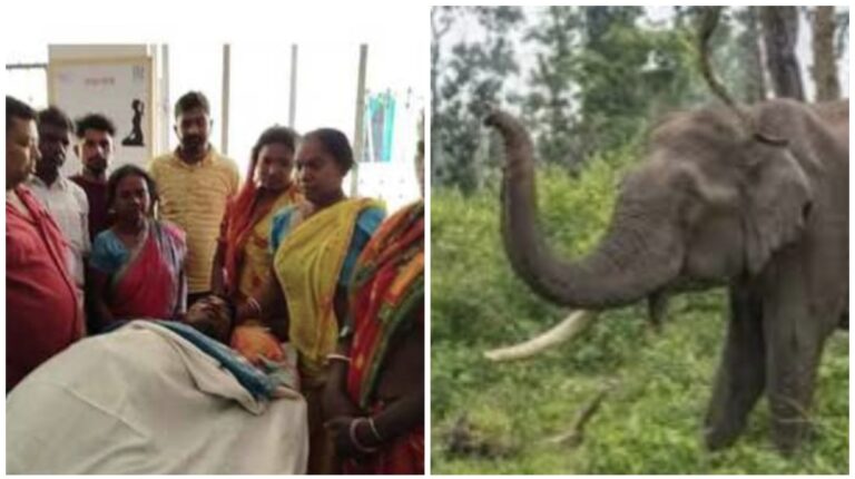 Ghatsila: गुड़ाबांदा में ग्रामीण को हाथी ने कुचलकर मार डाला, घंटों घायल अवस्था में पड़ा रहा, दम तोड़ा