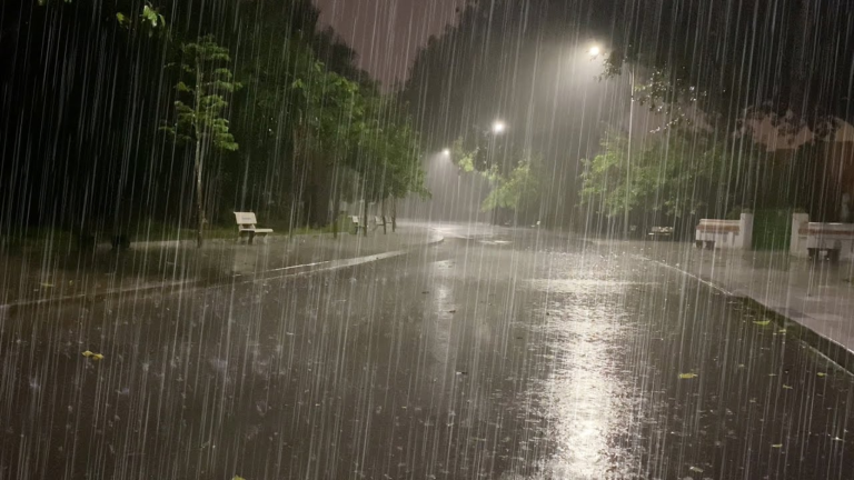 Jamshedpur Weather:तेज हवा के झोंकों के साथ दो घंटे तक हुई झमाझम बारिश, कई जगह गिरे पेड़, घंटों बिजली गुल, जनजीवन अस्त-व्यस्त
