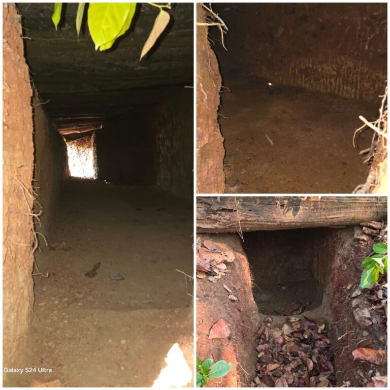 Chaibasa Naxal: चाईबासा में सुरक्षाबलों को बड़ी सफलता; नक्सलियों के पांच बंकर ध्वस्त, दो शक्तिशाली IED बरामद
