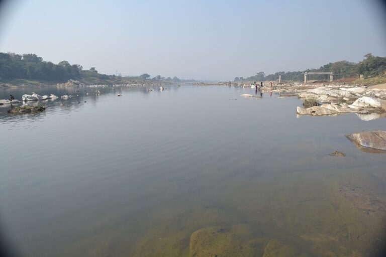Ghatsila: 7 मई से घर से गायब युवक का शव बहरागोड़ा में स्वर्णरेखा बसुआ घाट पर मिला