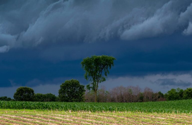 Monsoon Coming: IMD ने की घोषणा, मॉनसून बंगाल की खाड़ी के दक्षिणी भाग और निकोबार द्वीप समूह तक पहुंचा, 27 मई को केरल पहुंचने की संभावना