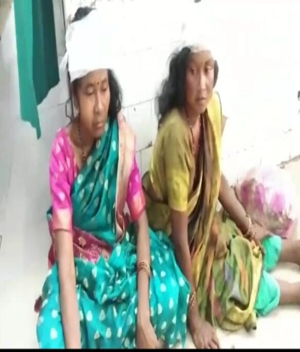 Potka Road Accident: अज्ञात वाहन की टक्कर से ऑटो चालक की मौत, दर्जन भर यात्री घायल, सभी सभी लोग चाईबासा से बस से पोटका पहुंचे थे, जा रहे थे श्राद्ध कर्म में