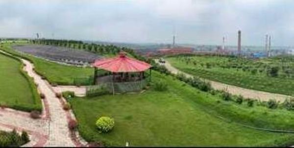Tata Steel Initiative: टाटा स्टील ने पर्यावरण संरक्षण की दिशा में बड़ी पहल,गम्हरिया में 30 एकड़ के राख के टीले को हरे-भरे कैलाश टॉप में बदला