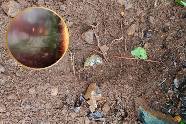 चाईबासा के जंगलों में मिले 14 IED बम, किये गये डिफ्यूज