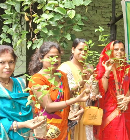 पृथ्वी के तापमान को कम करने का अभियान, आनंद मार्ग की टीम ने बीज बॉल एवं पौधे का वितरण किया