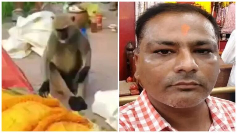 Jharkhand: बाबा नगरी देवघर में JMM नेता की मौत, लंगूर ने दी अंतिम विदाई, कफन हटाकर चेहरा चूमा और फिर वहीं बैठ गया