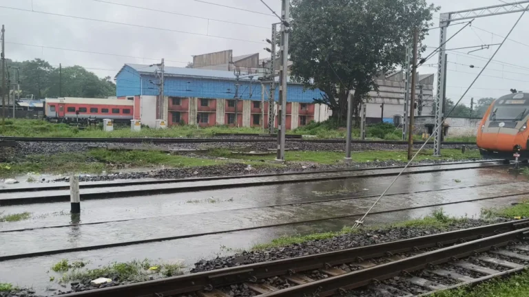 Monsoon: झारखंड बारिश से तरबतर; जून में टूटा रिकॉर्ड, तो जुलाई के पहले हफ्ते में ही सामान्य से अधिक बारिश दर्ज