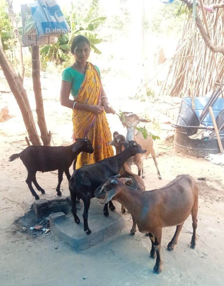 SUCCESS STORY : आजीविका मिशन से जुड़कर आत्मनिर्भर बनीं अनुसूचित जनजाति की गुरुवारी सबर