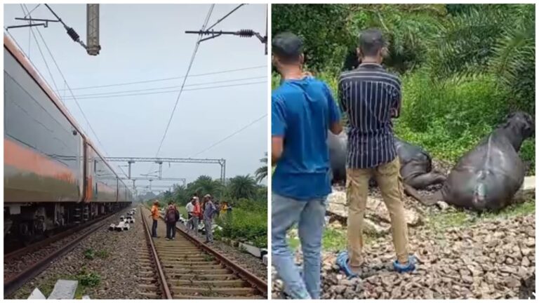 Jharkhand Train Accident: जामताड़ा के पास अकालतख्त एक्सप्रेस के इंजन से टकराये 8 मवेशी, रेलवे परिचालन बाधित, जांच के आदेश