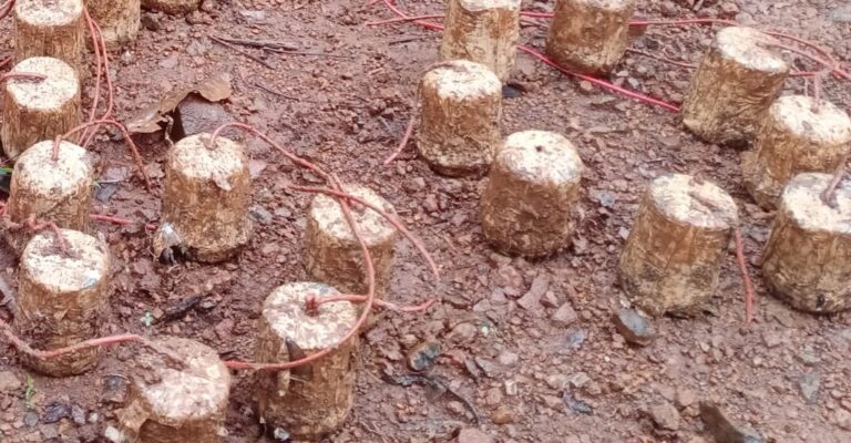 Chaibasa Naxal: पश्चिमी सिंहभूम और खूंटी की सीमा से 18 IED बरामद, नक्सलियों ने सुरक्षाबलों को नुकसान पहुंचाने के लिए किया था प्लांट