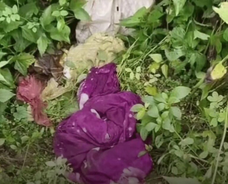 Chaibasa: चाईबासा के खूंटपानी में नवजात बच्ची को संजय नदी के किनारे झाड़ियों में फेंका, रोने की आवाज सुन पहुंचे लोग