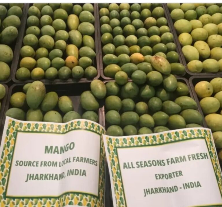 Jamshedpur Mango Export: पूर्वी सिंहभूम के पटमदा का ‘आम’ सऊदी अरब में बिखेर रहा अपनी मिठास, देखी जा रही जबरदस्त मांग, सब्जियों के भी निर्यात की कोशिश