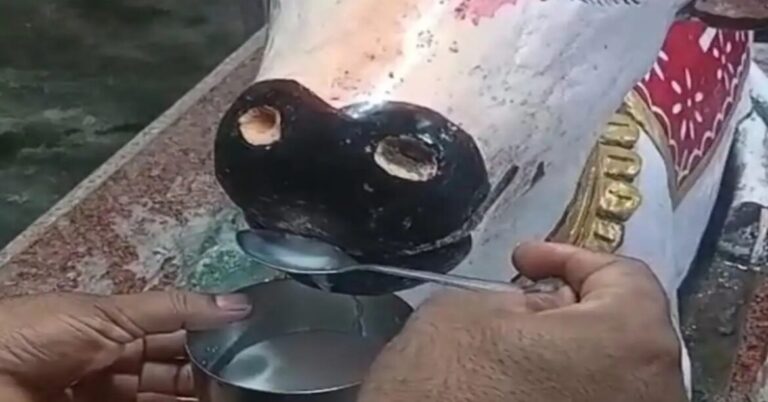 Jamshedpur : परसुडीह के शिव मंदिर में नंदी बाबा पीने लगे दूध, उमड़ पड़े श्रद्धालु