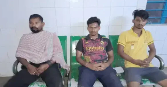 जमशेदपुर में जंगली हाथियों का हमला, तीन वनकर्मी गंभीर रूप से घायल