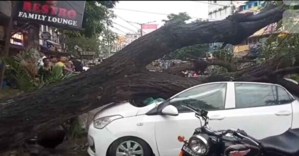 Jamshedpur: साकची में बारिश से कार पर पेड़ गिरा, टेंपो भी क्षतिग्रस्त, बाल-बाल बचे लोग, हावड़ा ब्रिज के पास घंटों सड़क जाम