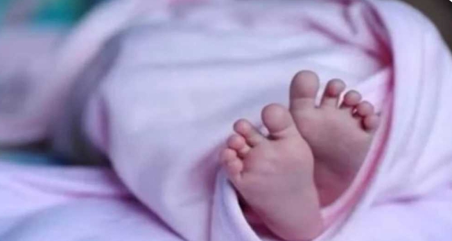 Chaibasa: गोइलकेरा में गर्ल्स स्कूल के पीछे मछुआ टोली के पास झाड़ियों में रोता-बिलखता मिला नवजात शिशु, रमेश भुइयां के परिवार ने ली बच्चे के पालन-पोषण की जिम्मेदारी