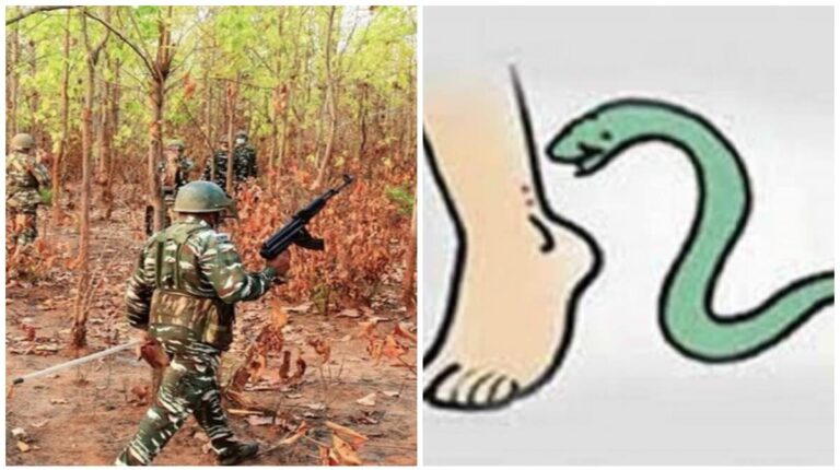 Chaibasa: सारंडा के छोटानागरा में नक्सल विरोधी अभियान पर निकले 209 कोबरा बटालियन के जवान की सर्पदंश से मौत