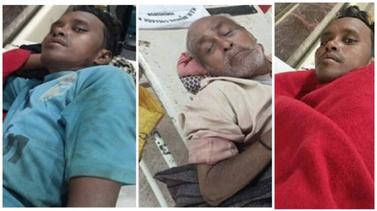 Jamshedpur: जमशेदपुर में सांड का आतंक, एक दिन में 16 लोगों को किया जख्मी, ट्रैंक्यूलाइज कर बेहोश किया, होश आया तो फिर किया हमला, महिला की ले ली जान