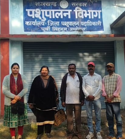 Jamshedpur News :आवारा पशुओं को पकड़ने का अभियान प्रारंभ होगा, एक्शन प्लान तैयार, बेहोश कर पकड़े जाएंगे सांडो