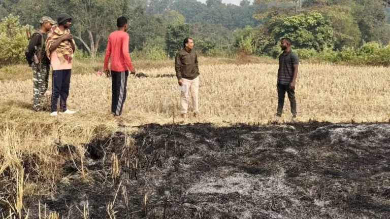Ghatsila: पुआल में आग लगने से जिंदा जल गयी 4 साल की मासूम, हादसे में मां व दुधमुंही बहन गंभीर रूप से झुलसी