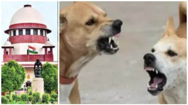 Supreme Court: जब कुत्ते बच्चों पर हमला करते हैं तो किसे जिम्मेदार ठहराया जाना चाहिए? सुप्रीम कोर्ट ने की टिप्पणी, कहा-राज्यों को देंगे भारी मुआवजा देने का निर्देश