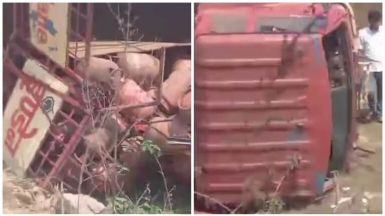 Saraikela Accident: टाटा-पुरुलिया मार्ग पर लुपुंगडीह के पास LPG गैस सिलेंडर से भरा ट्रक पलटा, बाल-बाल बचा चालक