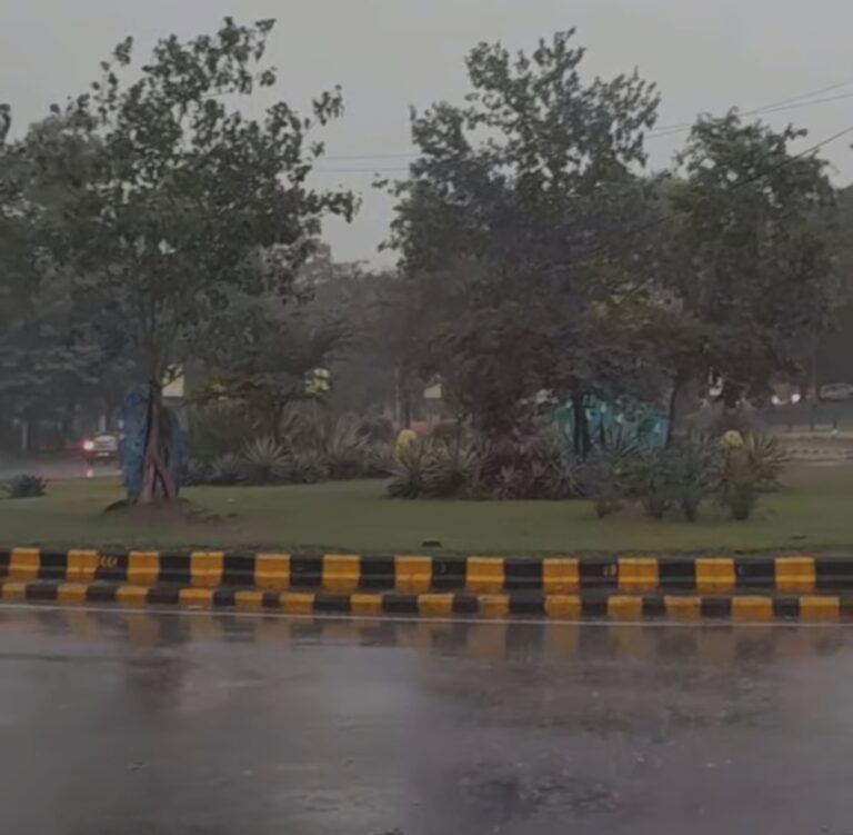 Jamshedpur Weather: जमशेदपुर का मौसम अचानक बदला, भीषण गर्मी के बीच बारिश में मिली राहत, जानें आगे कैसा रहेगा मौसम?