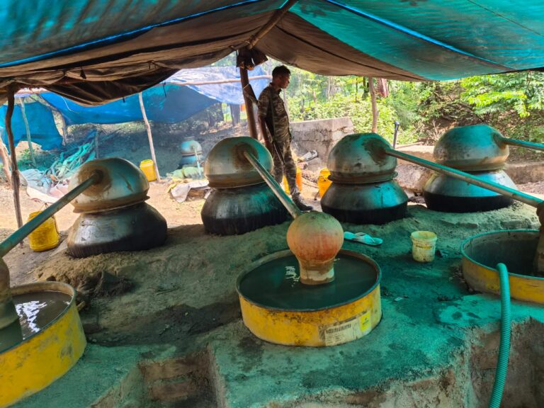 CHANDIL NEWS: अवैध महुआ शराब के खिलाफ उत्पाद विभाग की बड़ी कार्रवाई, 5 अड्डे ध्वस्त, 1000 किलो जावा महुआ नष्ट