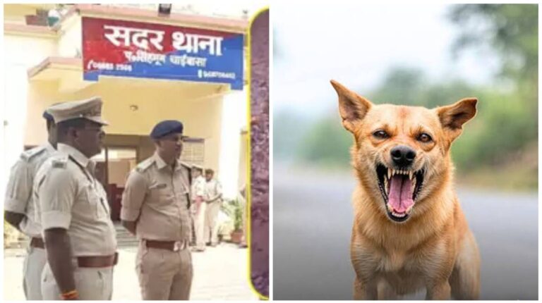 Chaibasa: आवारा कुत्ते ने एक महिला को 16 बार काटकर जख्मी किया, बेटे ने गिनकर 16 लाठियां मारीं, हरियाणा से चाईबासा के सदर थाने में ऑनलाइन केस दर्ज