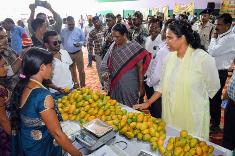 SERAIKELA NEWS: आदित्यपुर में ‘उलि बगाइचा परब 2026’ का शानदार आगाज, 6000 किसानों के ‘आम’ को मिला खास बाजार
