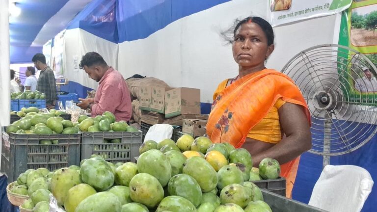 Jharkhand Mango Festival: नाबार्ड के तीन दिवसीय आम महोत्सव में 100 टन से ज़्यादा आम बिके