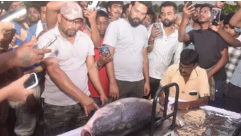 Jamshedpur: जेआरडी टाटा एंगलिंग प्रतियोगिता में 15 किलो की मछली पकड़कर हरु मोदी बने चैंपियन
